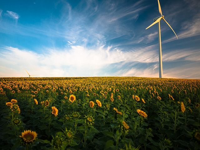 Czy wiesz, czym jest TPA w energetyce?